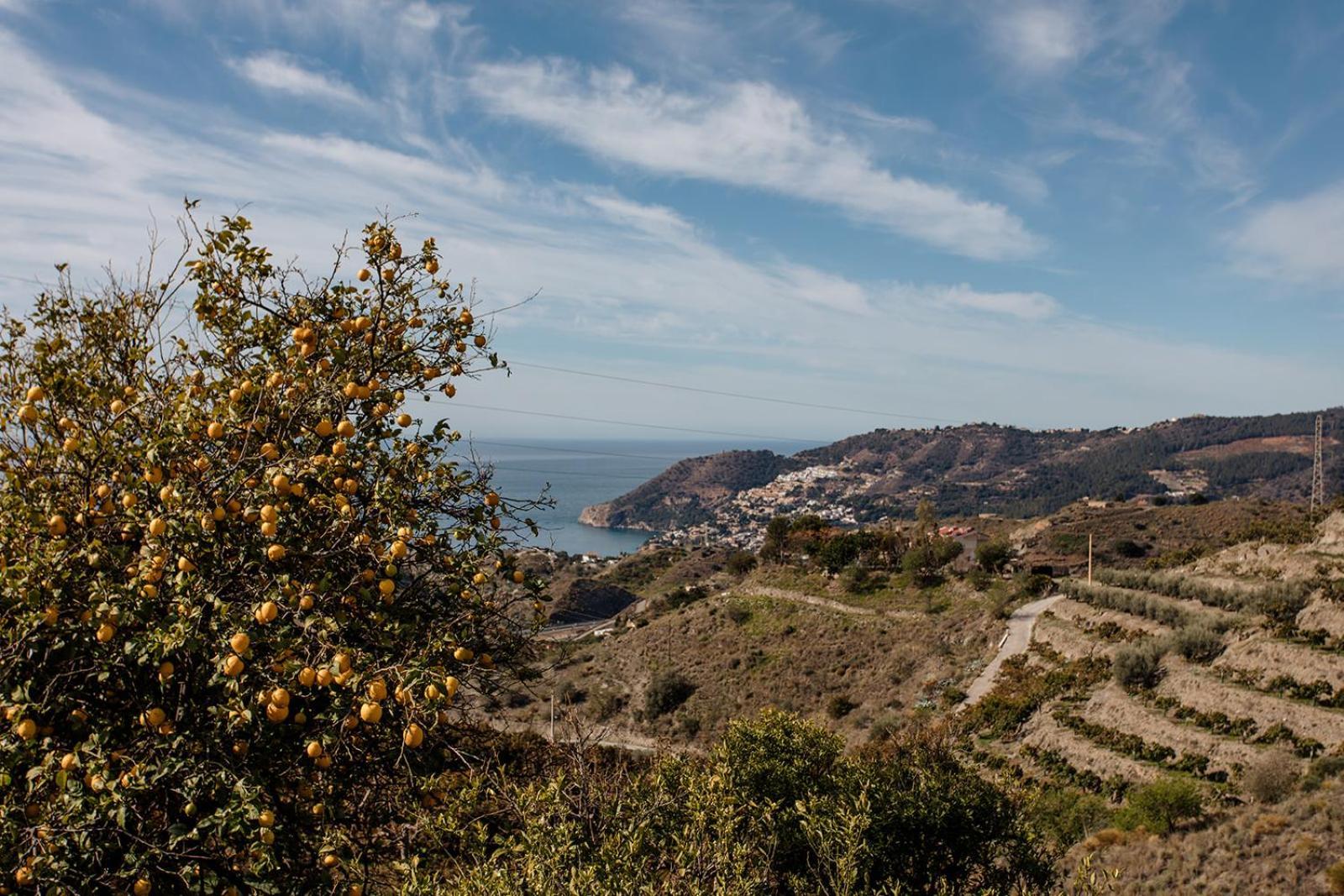 Finca La Herradura Eksteriør billede